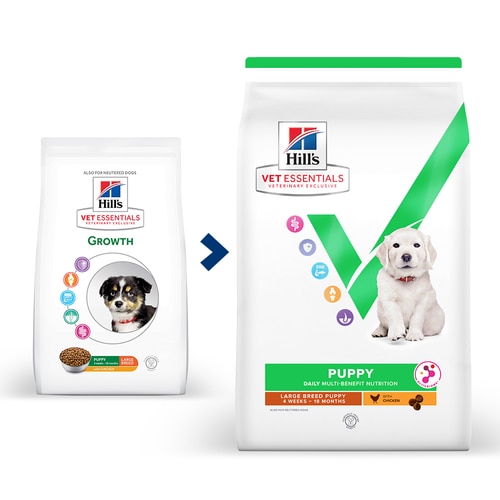 Multi-Benefit Puppy Large Breed Dry Food Key Benefits