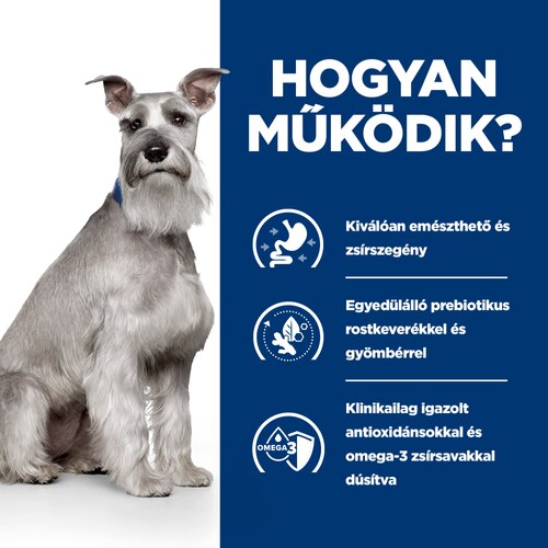Hogyan működik