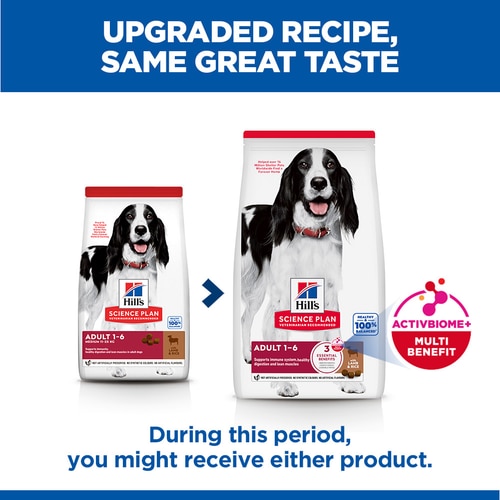 Medium Adult Dog Food Key Benefits