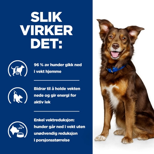 Hvordan det hjelper