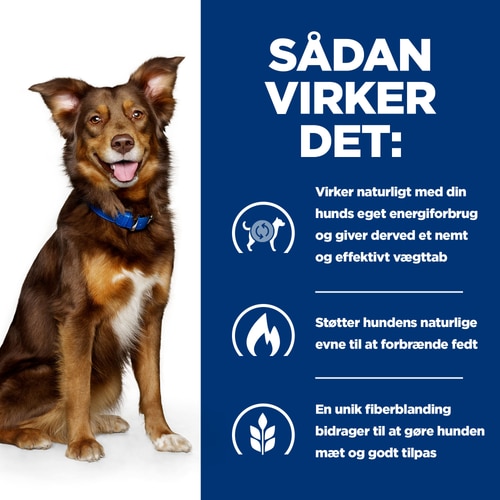 Metabolic hundefoder Hvordan det virker