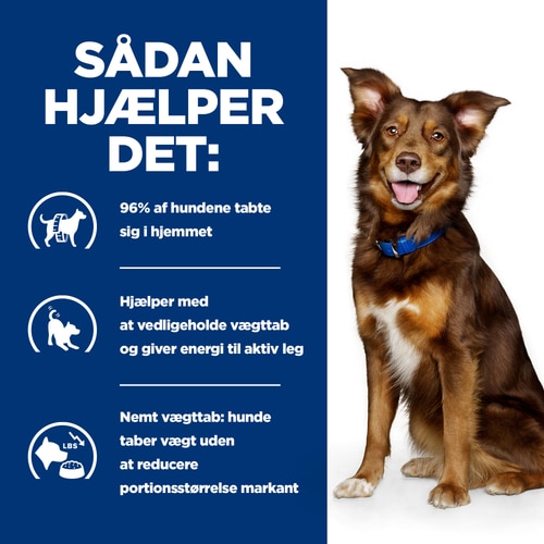 Metabolic hundefoder Hvordan det hjælper