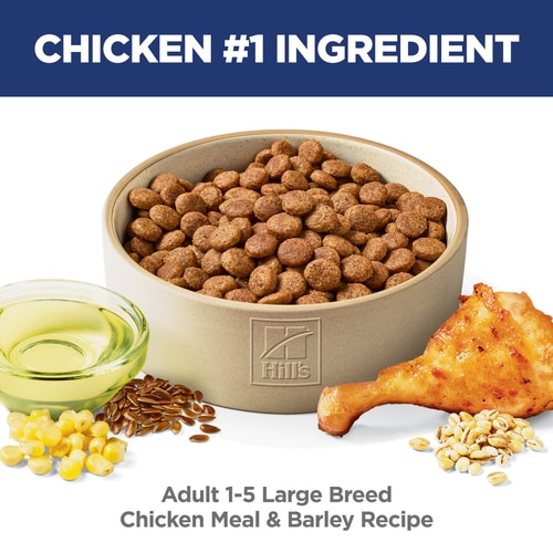Adult Large Breed Chicken & Barley Recipe Dog Food Food Shot Scale