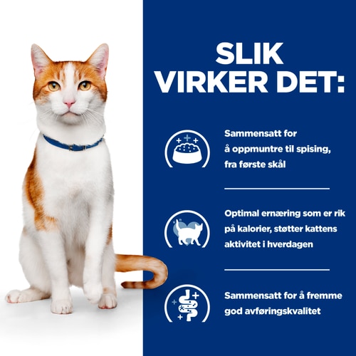 On-Care stuing til katt Hvordan det fungerer