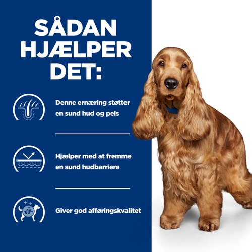 Hvordan det hjælper