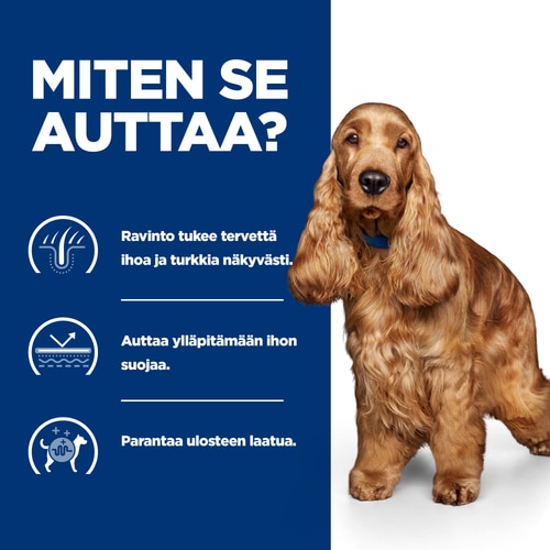 Miten se auttaa