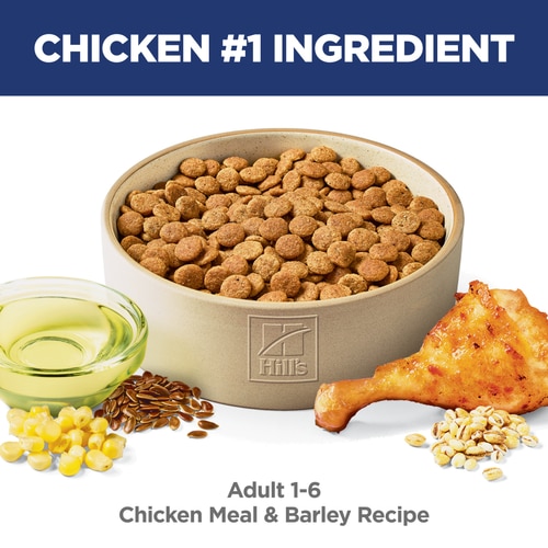 Adult Chicken & Barley Recipe Dog Food Food Shot Scale