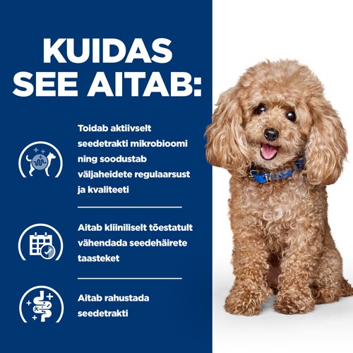 Kuidas see aitab