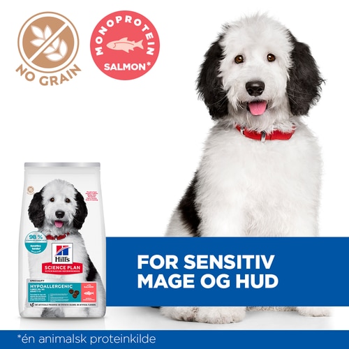Hypoallergenic Large Breed Adult hundefôr med laks Viktige fordeler