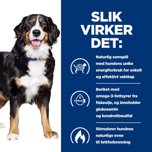 Metabolic + Mobility hundefôr Hvordan det fungerer