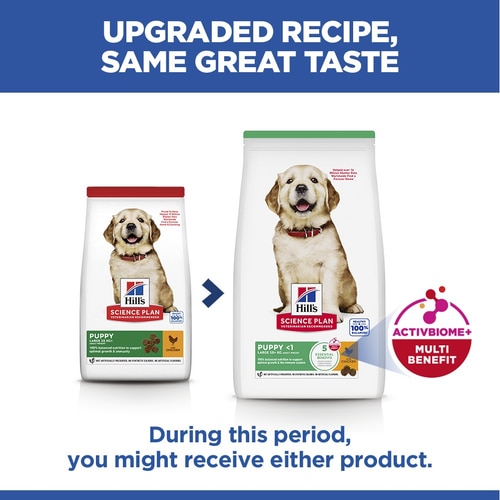 Large Breed Puppy Food Key Benefits