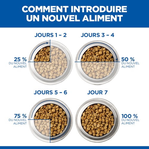 Kitten - Croquettes pour Chaton Transition alimentaire