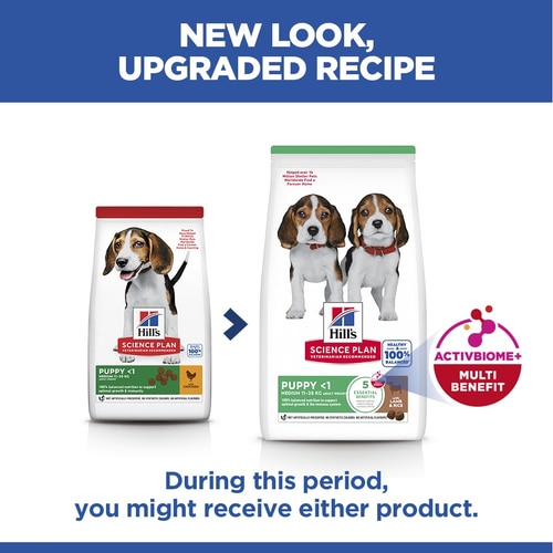Medium Puppy Food Key Benefits