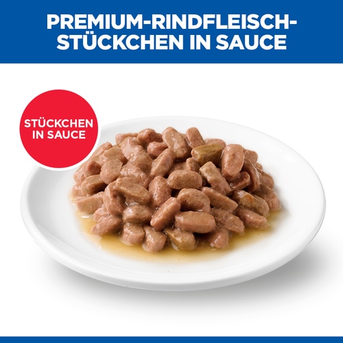 Adult Katzenfutter Abbildung Futter