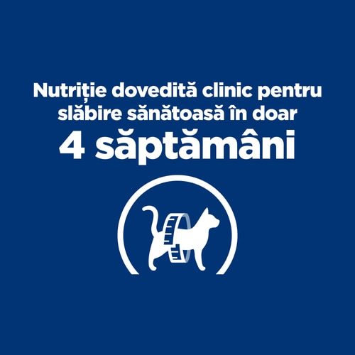 Afirmații principale