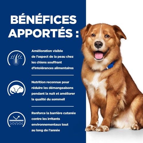Derm Complete - Pâtée pour Chien - Saveur Originale Miten se auttaa