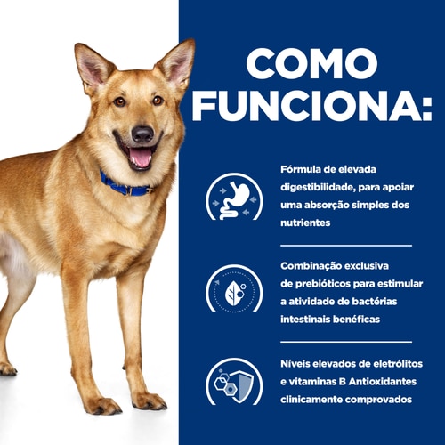 i/d alimento para cão Como funciona
