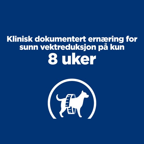r/d våtfôr til hund Viktige fordeler
