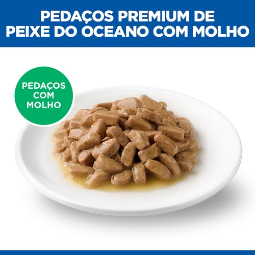 alimento para gatinho Imagem do alimento
