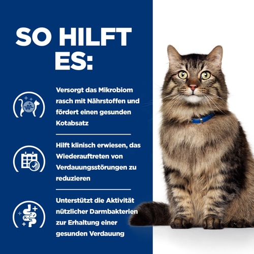 Gastrointestinal Biome Katzenfutter Wie es hilft