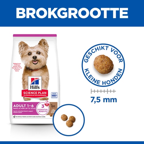 Small & Mini Adult Hondenvoer met Lam & Rijst Afbeelding van voeding