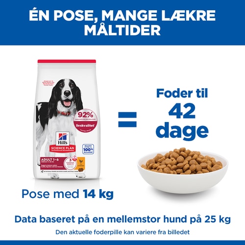 Medium Adult Hundefoder Marketing claim