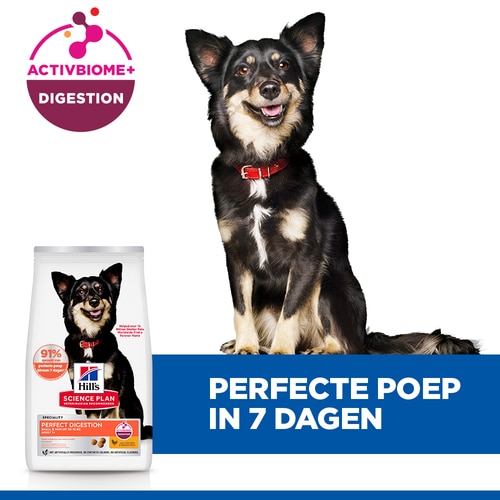 Perfect Digestion Small & Mini Adult Hondenvoer met Kip Belangrijkste kenmerken