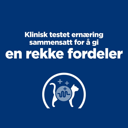 Viktige fordeler