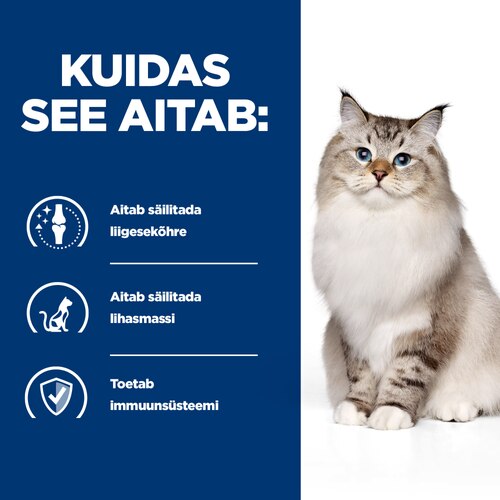 Kuidas see aitab