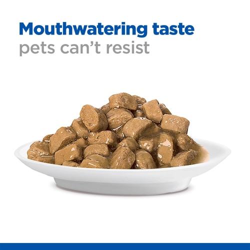Sterilised Cat Mature Adult Cat Food Food Shot