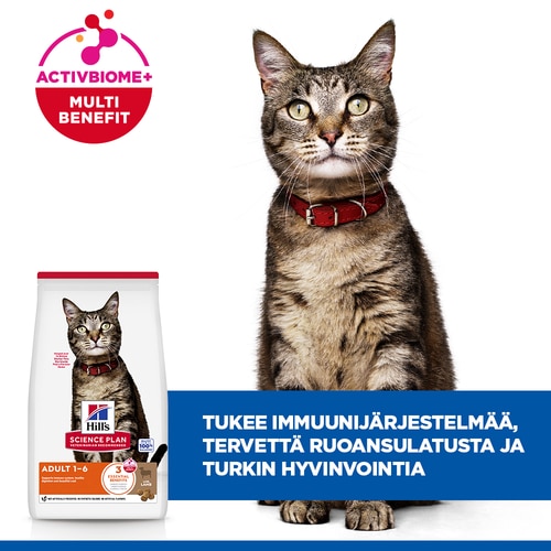 Adult kissanruoka Keskeiset ominaisuudet