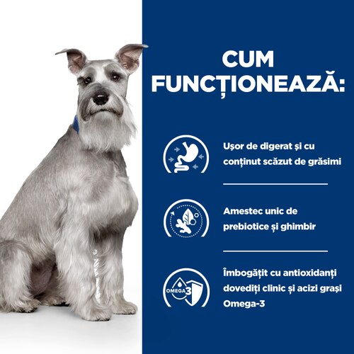 Cum funcționează