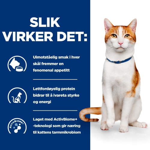 On-Care stuing til katt Hvordan det hjelper