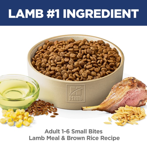 Adult Small Bites Lamb Meal & Brown Rice Recipe Dog Food Food Shot Scale