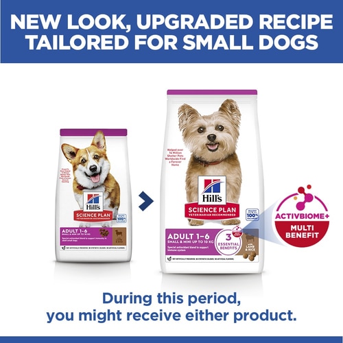 Small & Mini Adult Dog Food Key Benefits