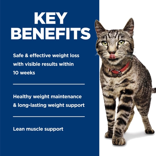 Adult Perfect Weight Vegetable & Turkey Medley Cat Food Key Benefits