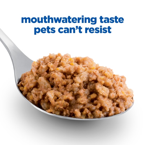 Multi-Benefit Mature Adult Wet Dog Food Food Shot