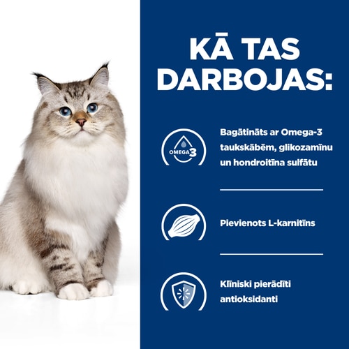 j/d kaķu barība How it Works