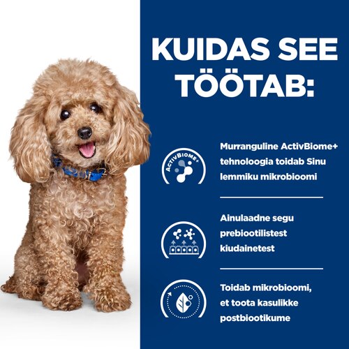 Kuidas see töötab
