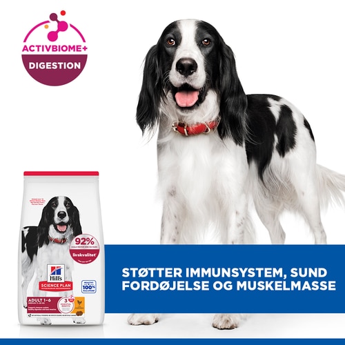 Medium Adult Hundefoder Vigtigste funktioner