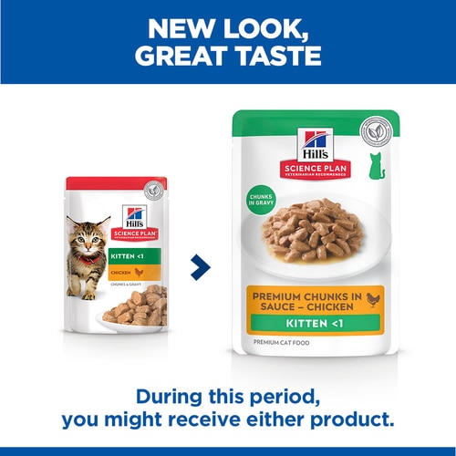 Kitten Food Key Benefits