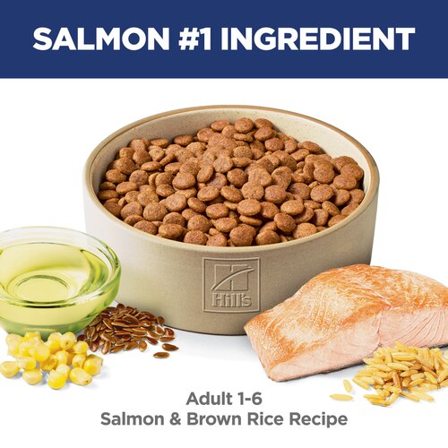 Adult Salmon & Brown Rice Recipe Dog Food Food Shot Scale
