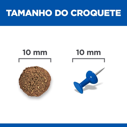 Perfect Digestion alimento para cachorro de raça média Imagem do alimento