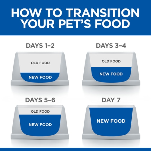 Sterilised Cat Mature Adult Cat Food Feeding Transition