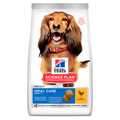 Hills Logo