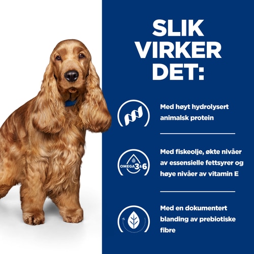 Hvordan det fungerer