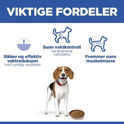 Hovedfordeler