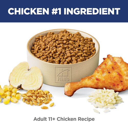 Adult 11+ Chicken Recipe Cat Food Food Shot Scale