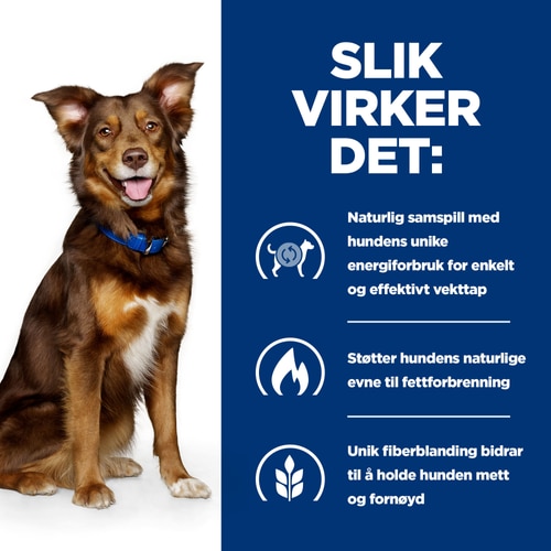 Hvordan det fungerer