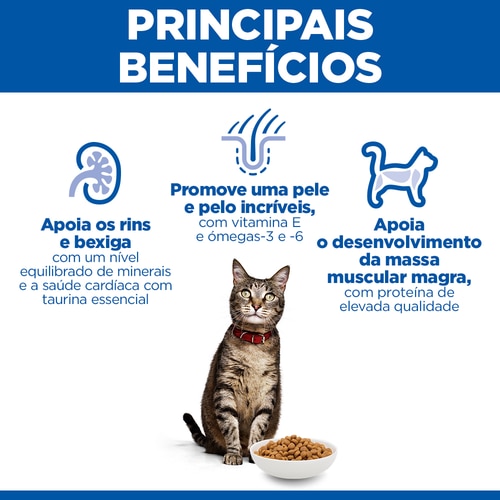 alimento para gato adulto Benefícios principais